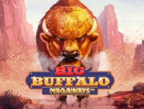 game logo by Skywind Group on broidicasino.fi