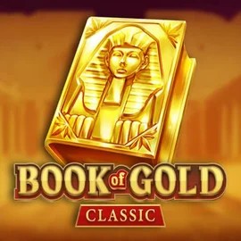 game logo by Playson on broidicasino.fi