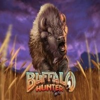 Buffalo Hunter logo by Nolimit City at Broidi CasinoBuffalo Hunter