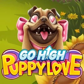 game logo by RubyPlay on broidicasino.fi